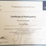 Дарья сертификат преподавателя языковой школы